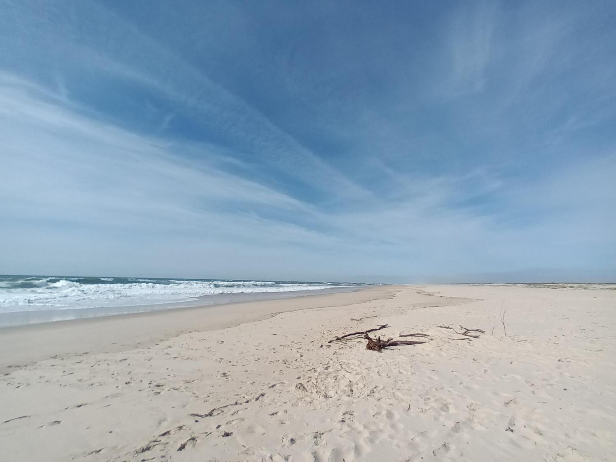 Apartment Close To The Ria De Aveiro, Sao Jacinto Esterno foto
